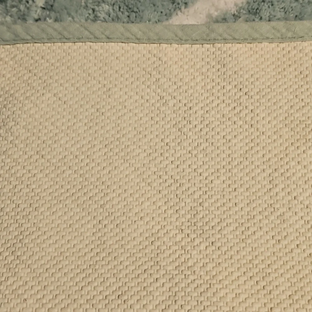 Apt. 9 Chevron Mint Green and White Bath Rug